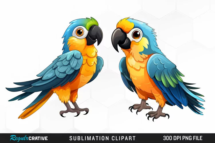 Watercolor Cute Parrot Clipart