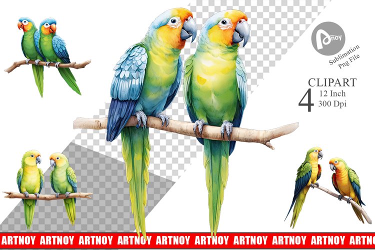 Parrot Png Image 22