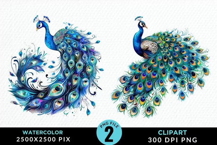 Watercolor Cute Peacock Illustration Clipart