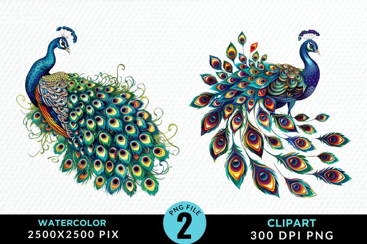 Watercolor Cute Peacock Illustration Clipart