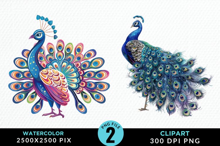 Peacock Feather Clipart Image 6