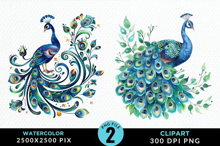 Peacock Feather Clipart Image 8