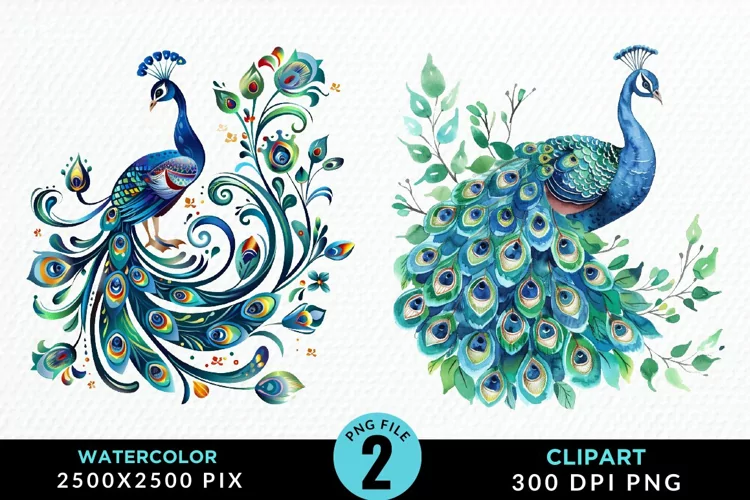 Watercolor Cute Peacock Illustration Clipart