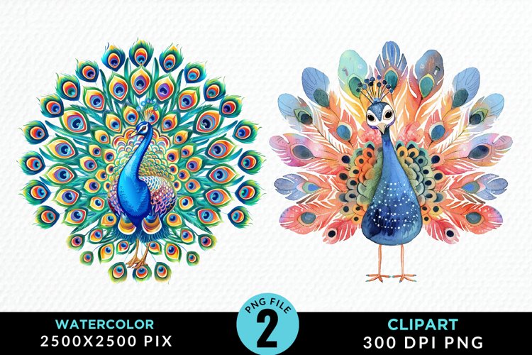 Peacock Feather Clipart Image 7