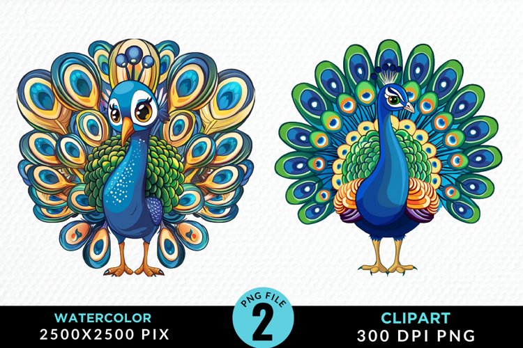 Peacock Feather Clipart Image 3