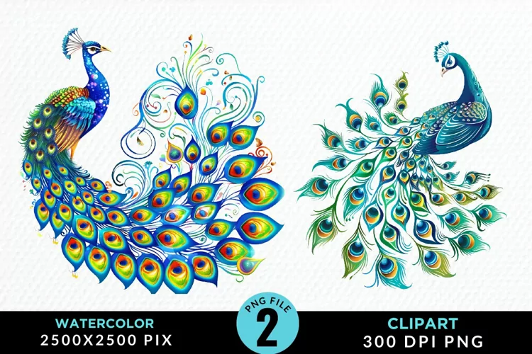 Watercolor Cute Peacock Illustration Clipart