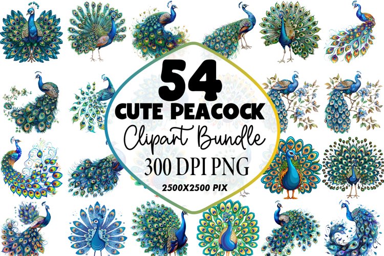 Peacock Feather Clipart