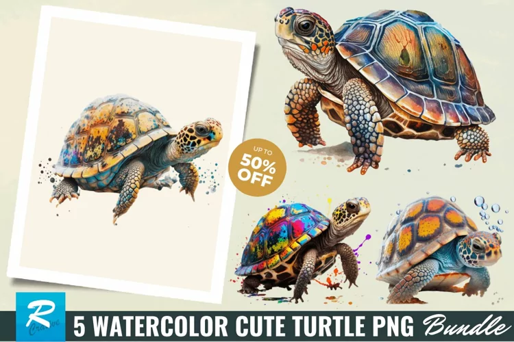 5 Watercolor Cute Turtle Sublimation Clipart Bundle