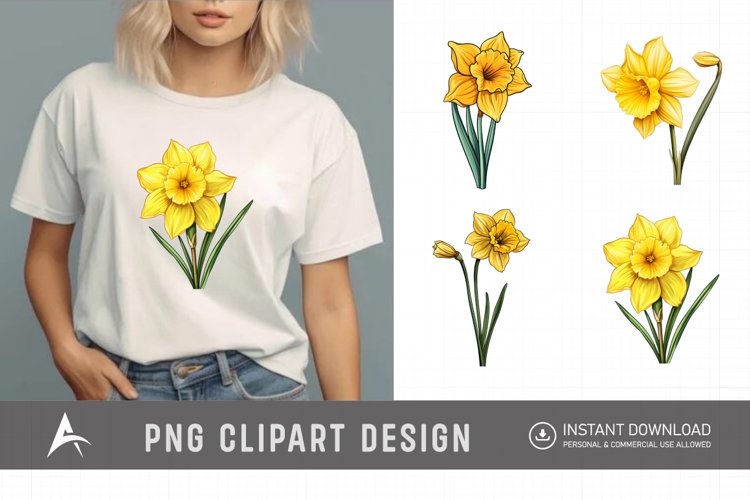 Daffodil Illustration Image 7