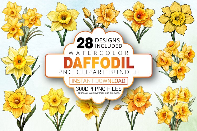 Daffodil Illustration Image 10