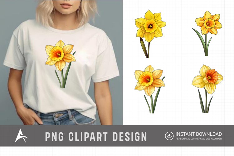 Daffodil Illustration Image 11
