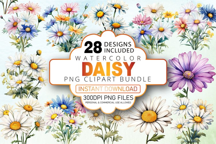Daisy Illustration