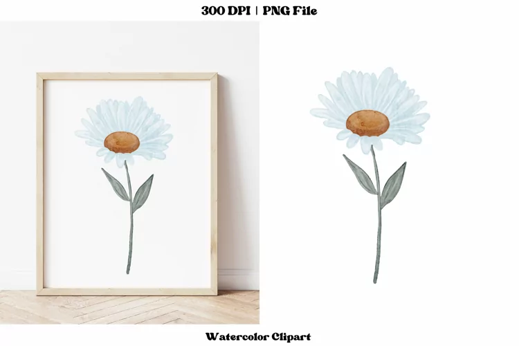 Watercolor Daisy Clipart | Daisy Png | Spring Flower Clipart