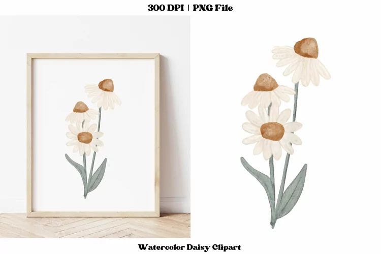 Watercolor Daisy Clipart | Daisy Png | Spring Flower Clipart