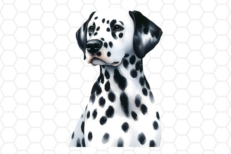 Watercolor Dalmatian Dog Clipart, Dog Sublimation PNG