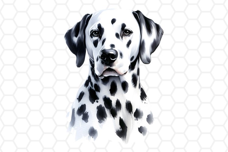 Watercolor Dalmatian Dog Clipart Dog Sublimation PNG