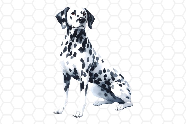 Watercolor Dalmatian Dog Clipart, Dog Sublimation PNG