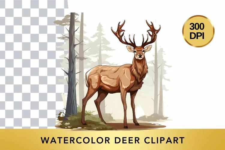 Watercolor deer Clipart , Animal Sublimation PNG