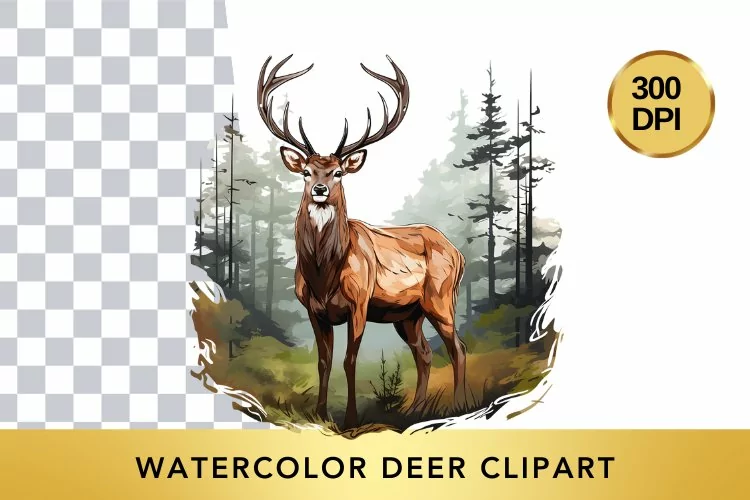 Watercolor deer Clipart , Animal Sublimation PNG