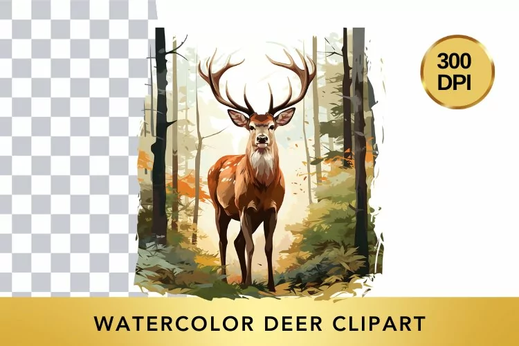 Watercolor deer Clipart , Animal Sublimation PNG