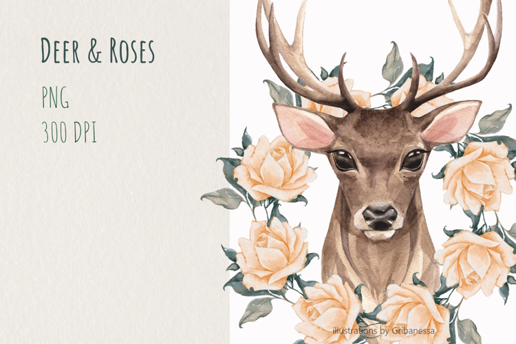 Watercolor Deer Floral PNG
