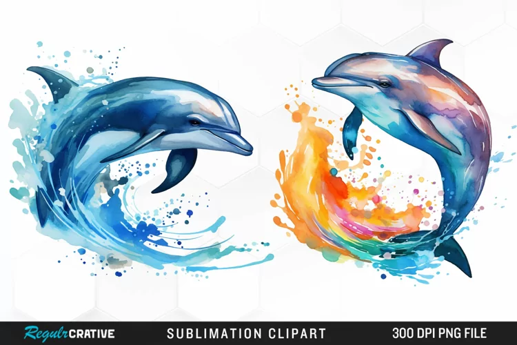 Watercolor Dolphin Illustration PNG Clipart