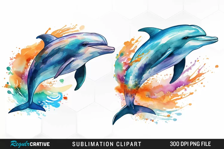Watercolor Dolphin Illustration PNG Clipart