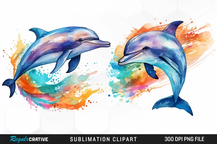 Watercolor Dolphin Illustration PNG Clipart