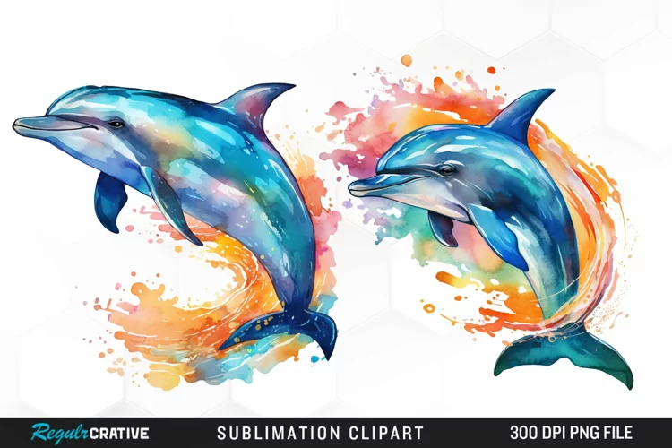 Watercolor Dolphin Illustration PNG Clipart