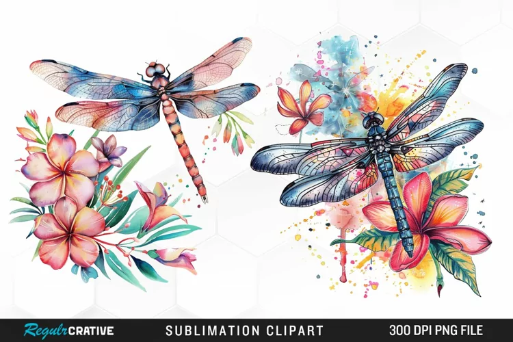 Watercolor Dragonfly Floral Art Clipart