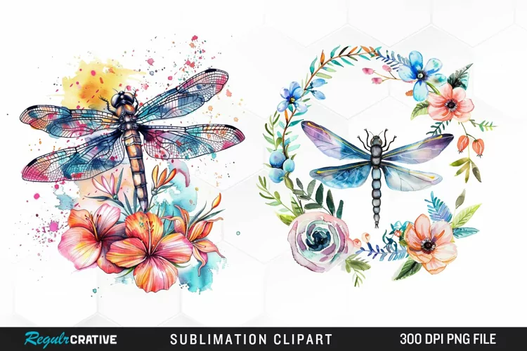 Watercolor Dragonfly Floral Clipart
