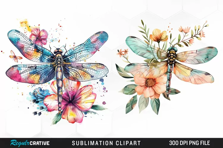 Watercolor Dragonfly Floral Clipart