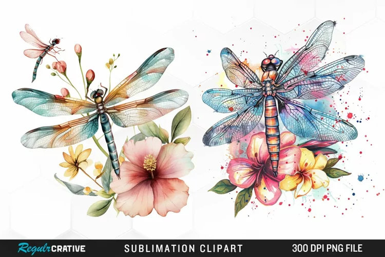 Watercolor Dragonfly Floral Art Clipart