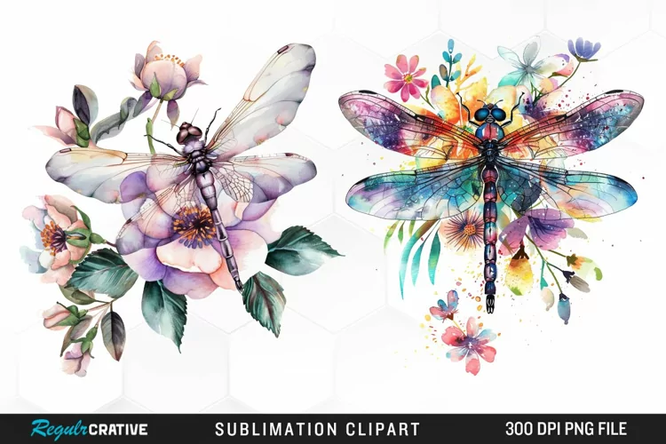 Watercolor Dragonfly Floral Art Clipart