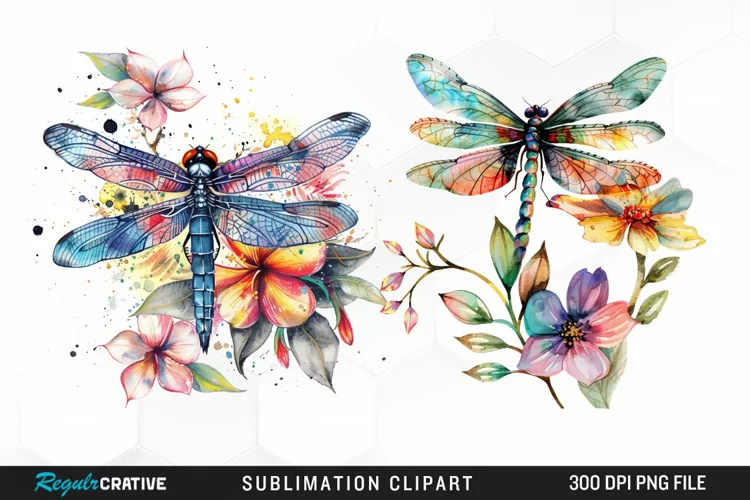 Watercolor Dragonfly Floral Clipart
