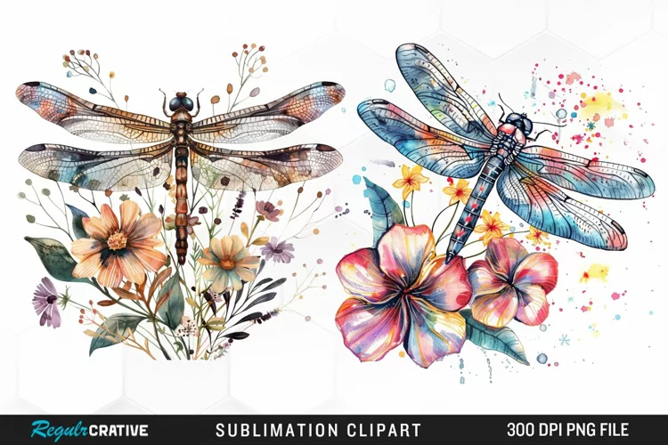 Watercolor Dragonfly Floral Clipart