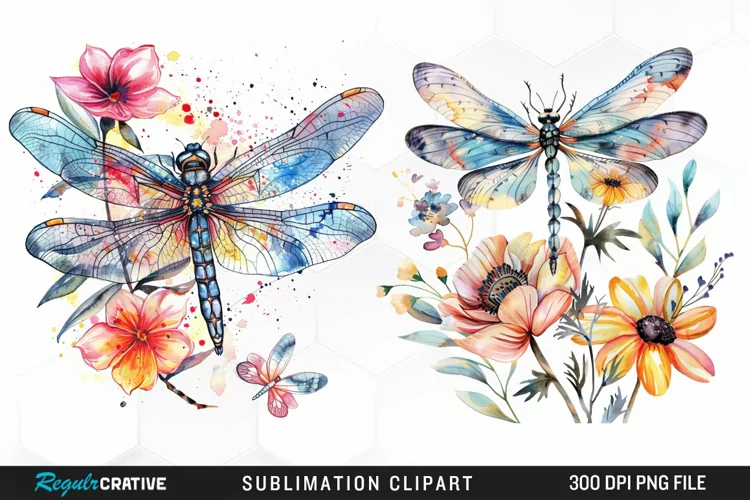 Watercolor Dragonfly Floral Art Clipart