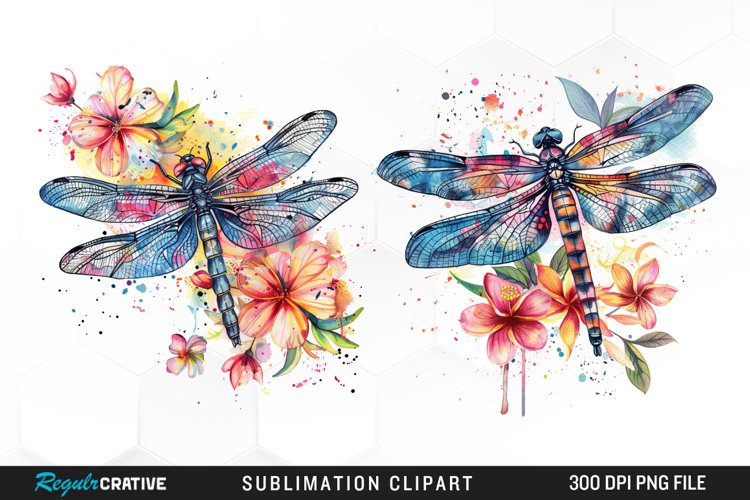 Watercolor Dragonfly Floral Clipart