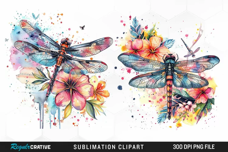Watercolor Dragonfly Floral Clipart