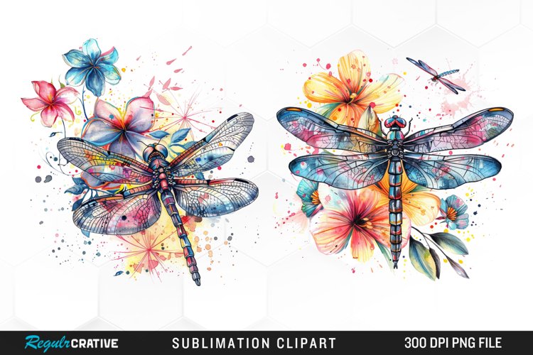 Watercolor Dragonfly Floral Art Clipart