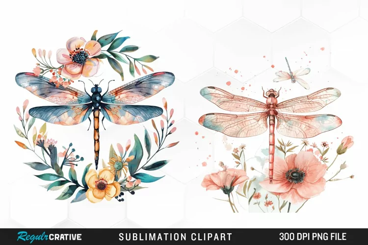 Watercolor Dragonfly Floral Clipart