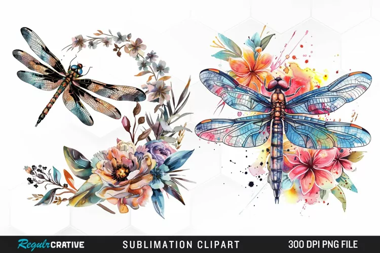 Watercolor Dragonfly Floral Clipart