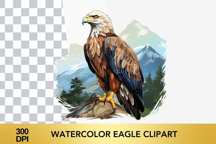 Watercolor eagle Clipart, eagle Sublimation