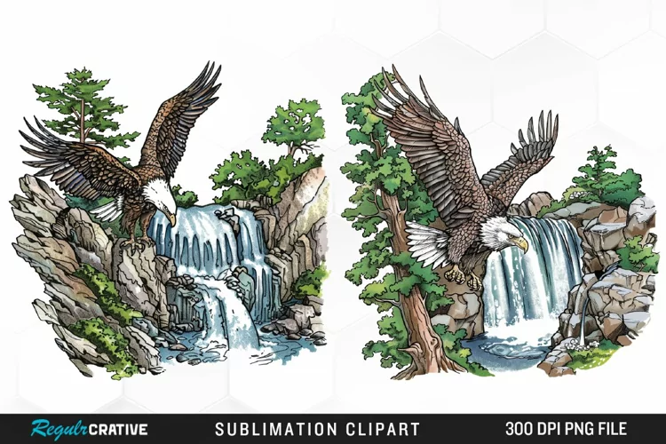 Watercolor Eagle Sublimation PNG Clipart