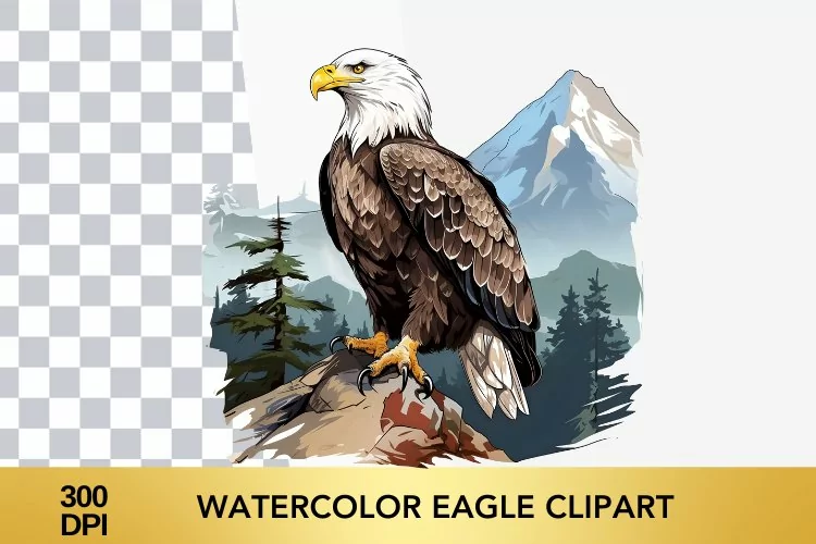 Watercolor eagle Clipart, eagle Sublimation