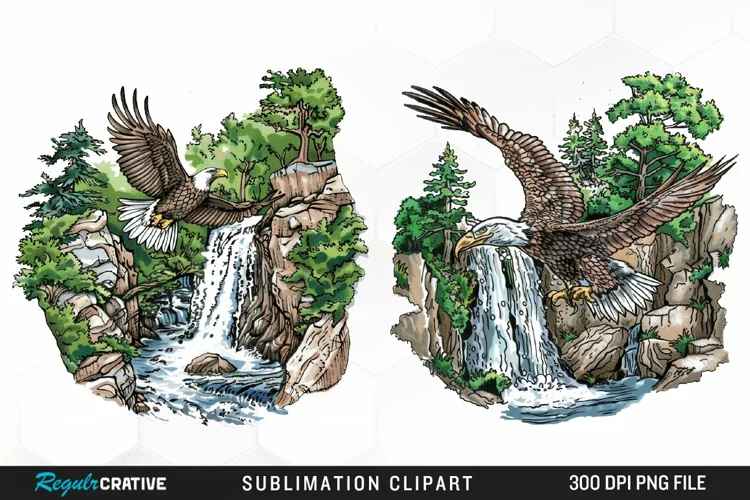 Watercolor Eagle Illustration PNG Clipart