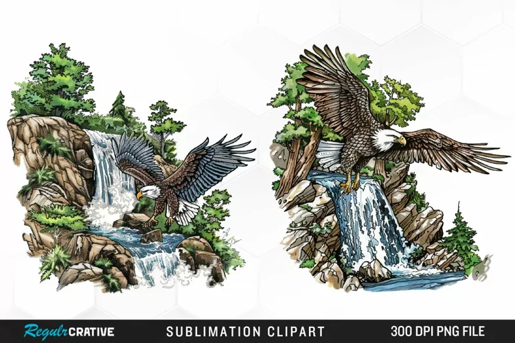 Watercolor Eagle Sublimation PNG Clipart