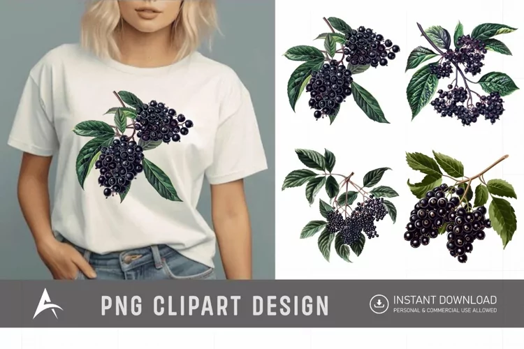 Watercolor Elderberry Clipart