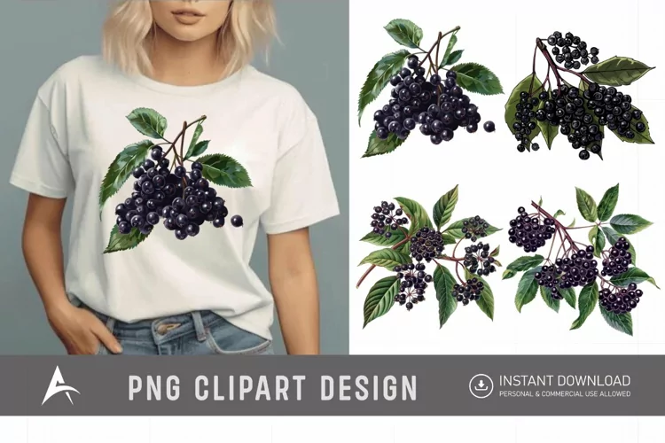 Watercolor Elderberry Clipart