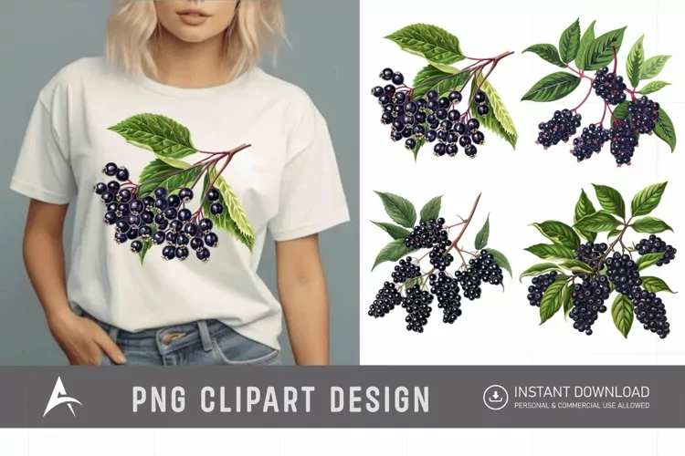 Watercolor Elderberry Clipart